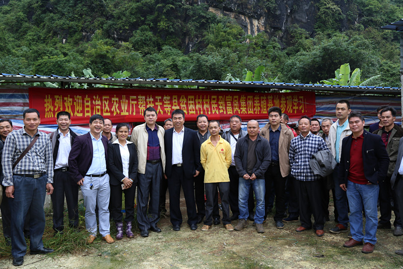 广西草莓视频下载网址农牧集团