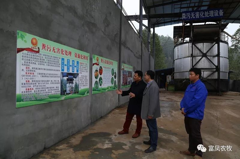 广西草莓视频下载网址农牧集团