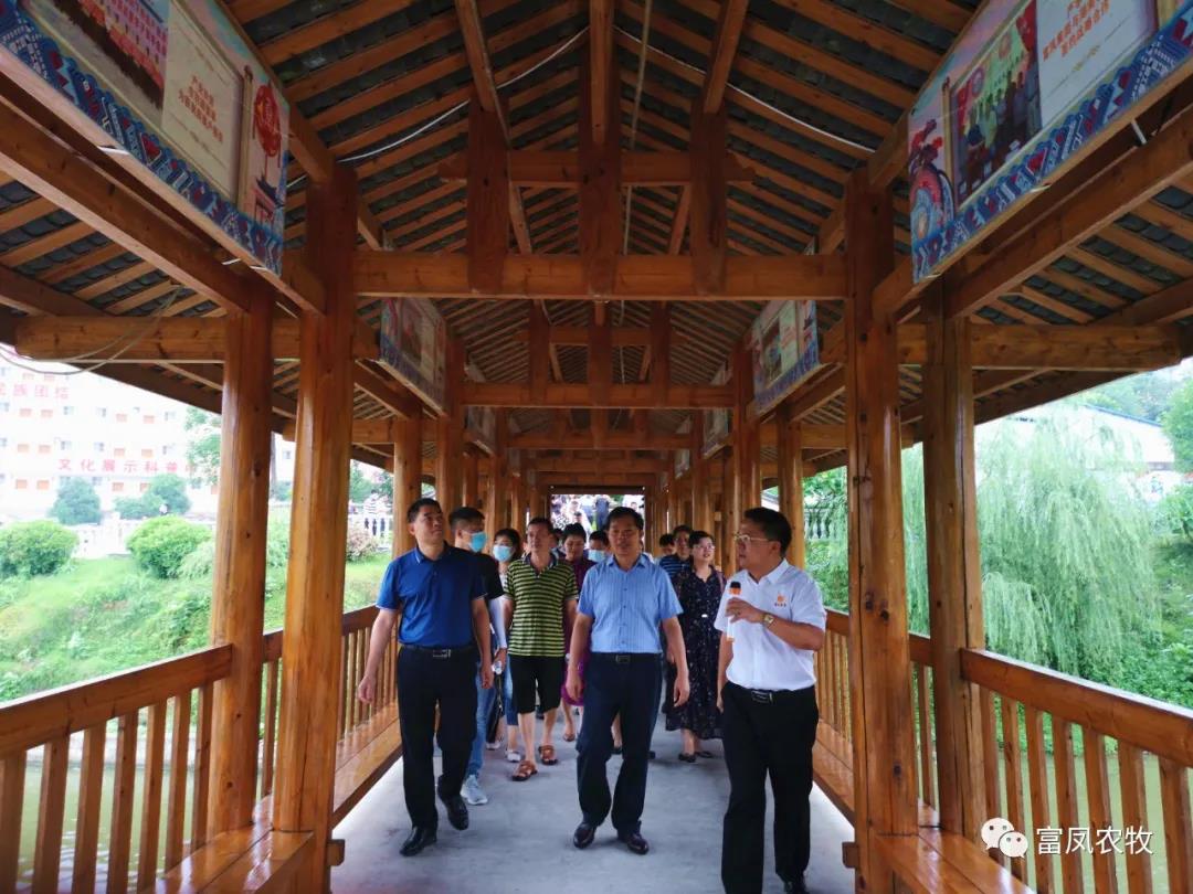广西草莓视频下载网址农牧集团