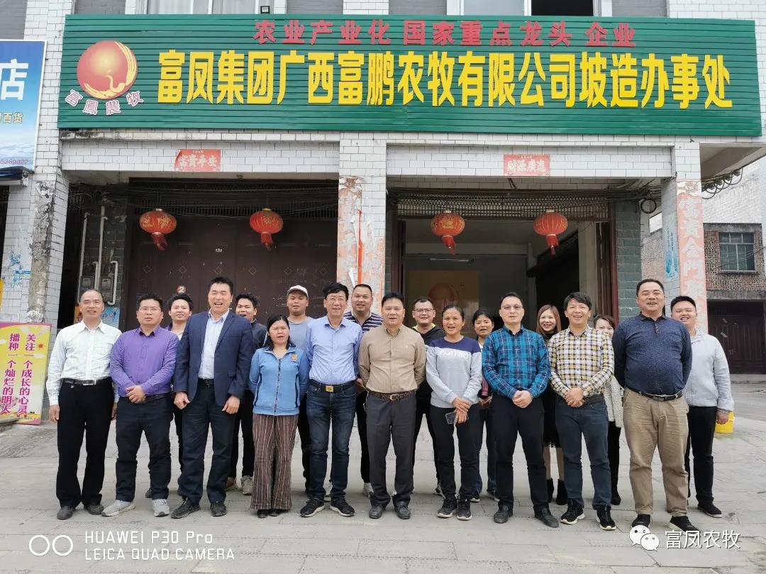广西草莓视频下载网址农牧集团
