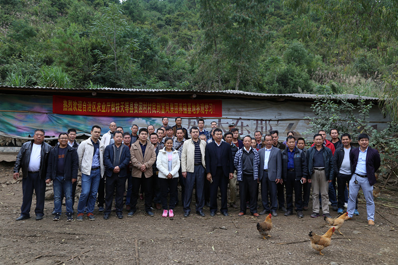 广西草莓视频下载网址农牧集团